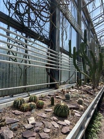 Unser Ausflug in den Botanischen Garten