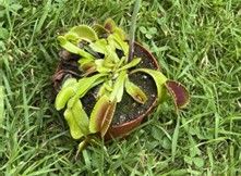 Unser Ausflug in den Botanischen Garten