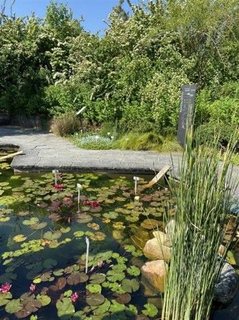 Unser Ausflug in den Botanischen Garten