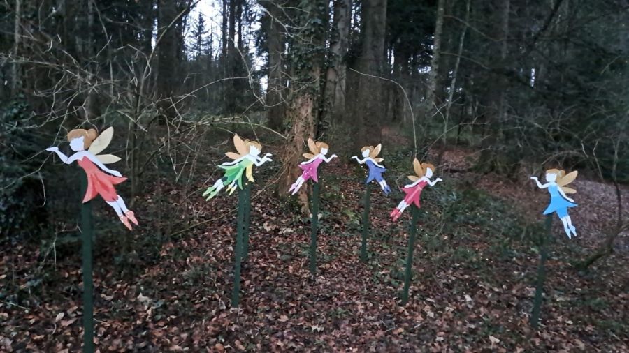 Zauberwald
