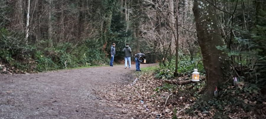 Zauberwald