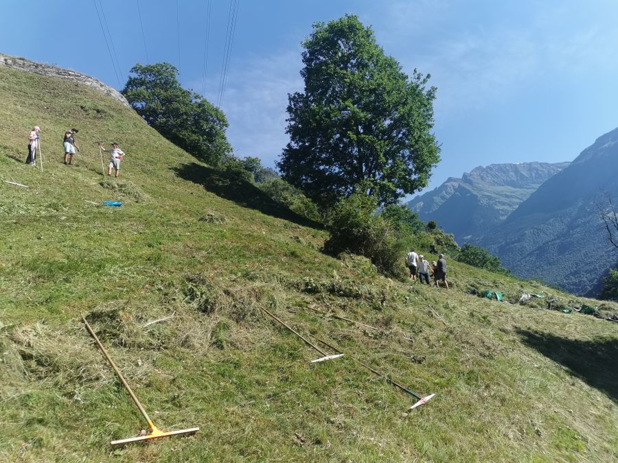 Umwelteinsatz in Soazza