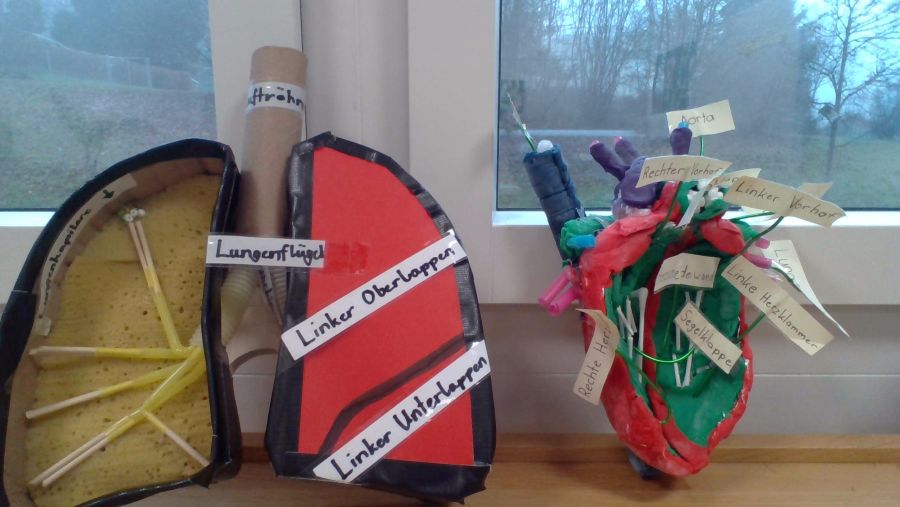 Einblick in den NT-Unterricht