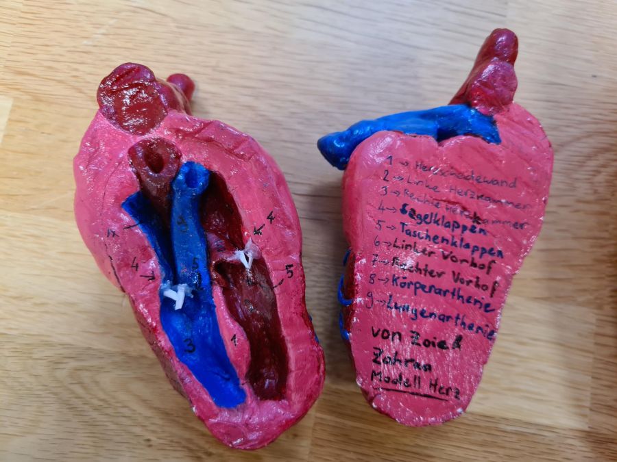 Einblick in den NT-Unterricht