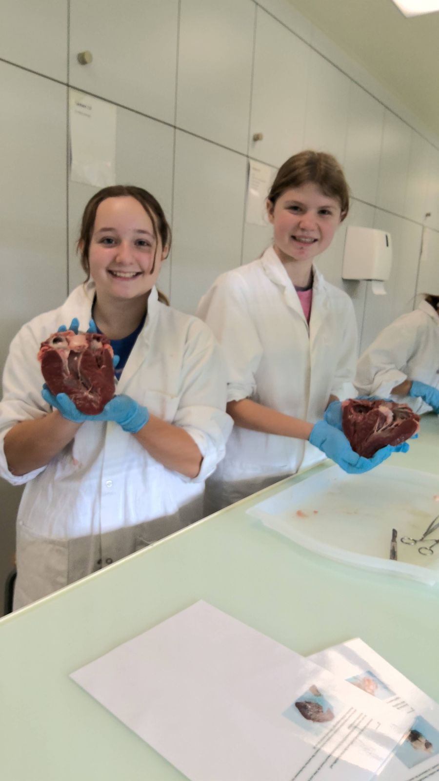 Einblick in den NT-Unterricht