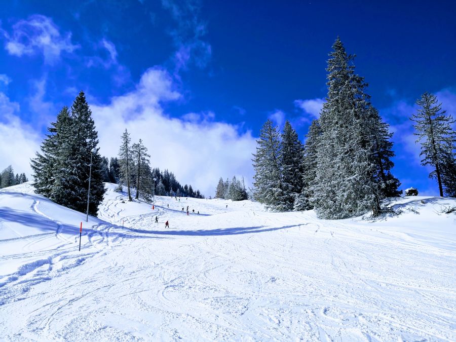 Vorfreude aufs Skilager