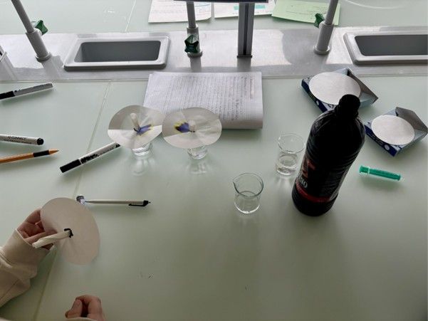 Besuchsnachmittage am OZ Grünau