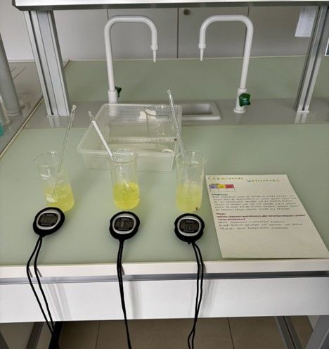 Besuchsnachmittage am OZ Grünau