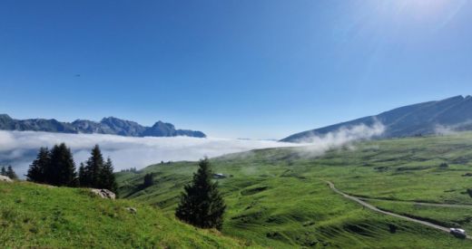 Schulreisen vom 20.08.2024