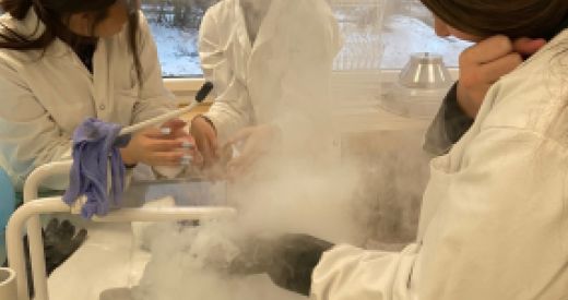 Anpassungen Mathematisch-Naturwissenschaftlicher-Unterricht im OZ