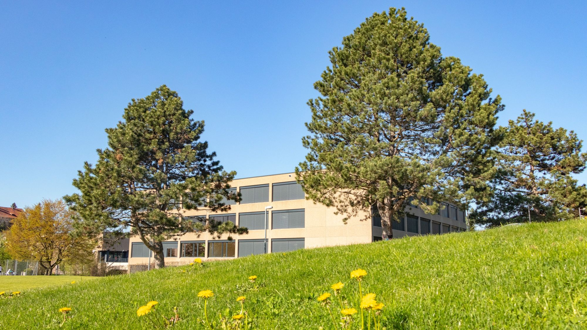 Die Regionale Oberstufenschule Grünau