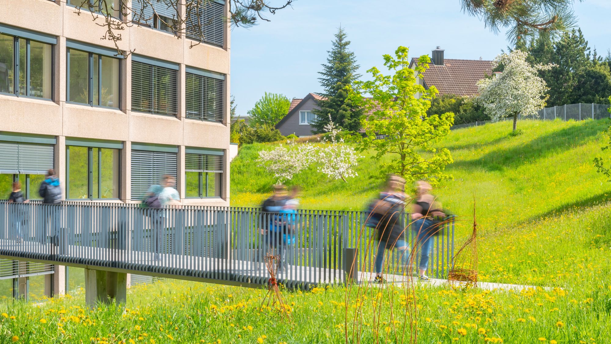 Die Regionale Oberstufenschule Grünau