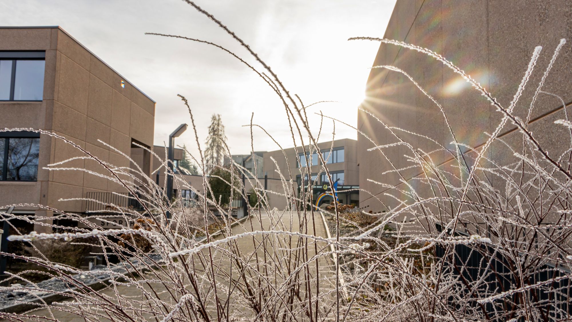 Die Regionale Oberstufenschule Grünau