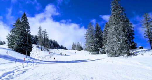 Vorfreude aufs Skilager