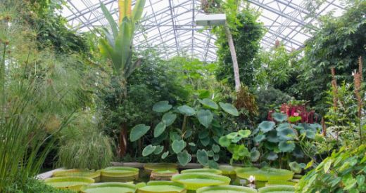 Ausflug Botanischer Garten