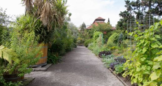 Unser Ausflug in den Botanischen Garten